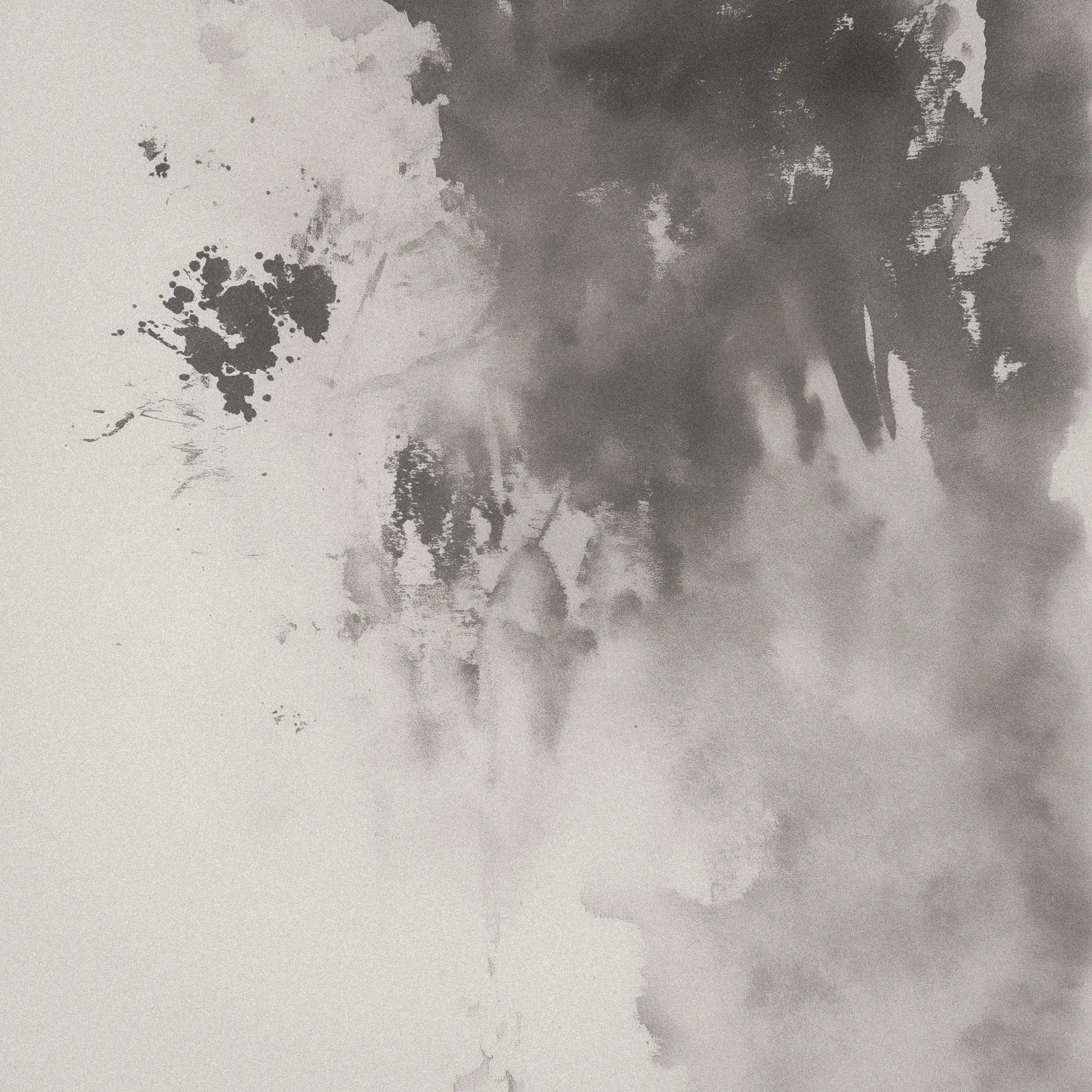 An abstract watercolor artwork featuring a blend of black and gray ink splotches and washes on a textured off-white background. The composition includes organic forms and splatters, creating a fluid, expressive feel. The interplay of light and dark tones suggests depth and movement within the piece.